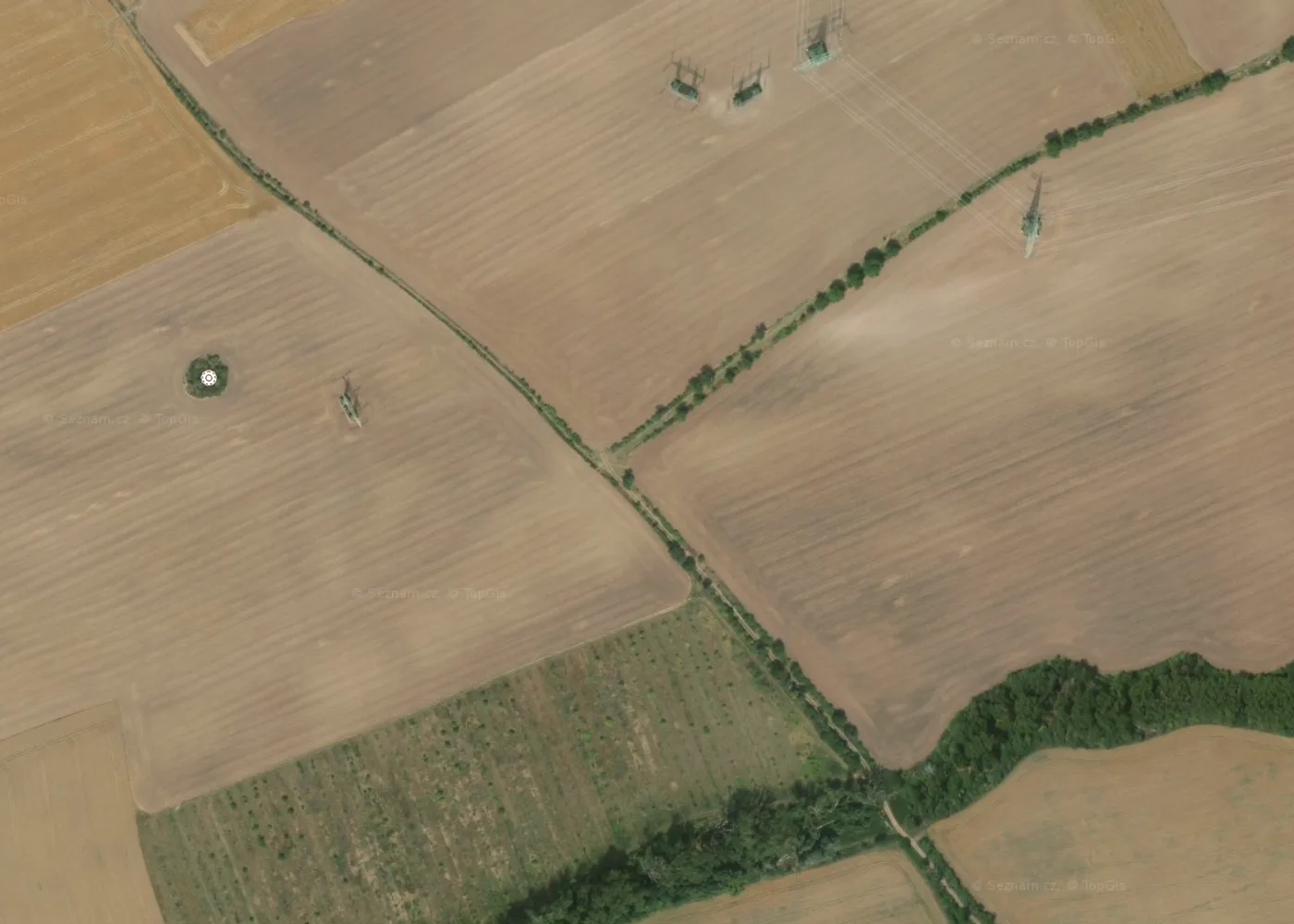 The same fields in the Aerial layer, where the dashed tracks appear as real tree-lined lanes