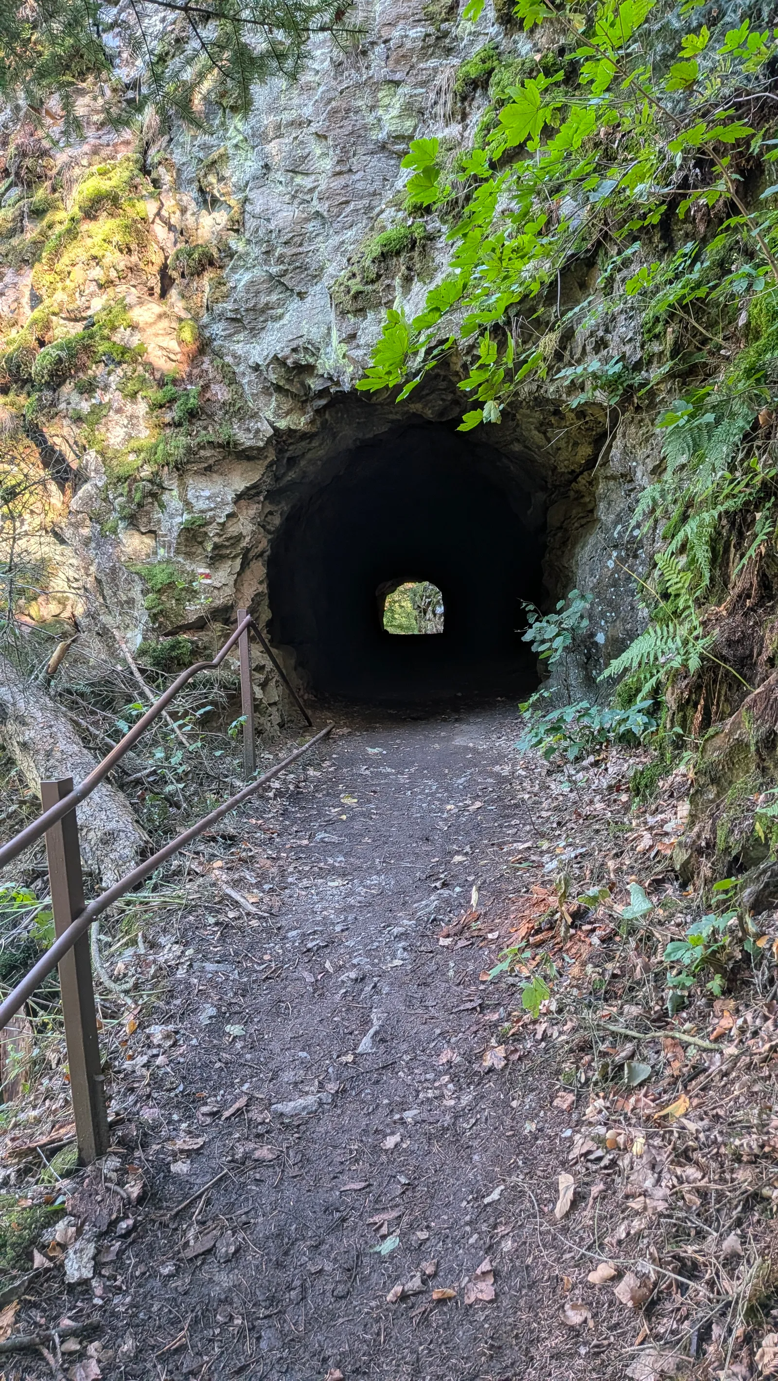 The tunnel above the Lužnice